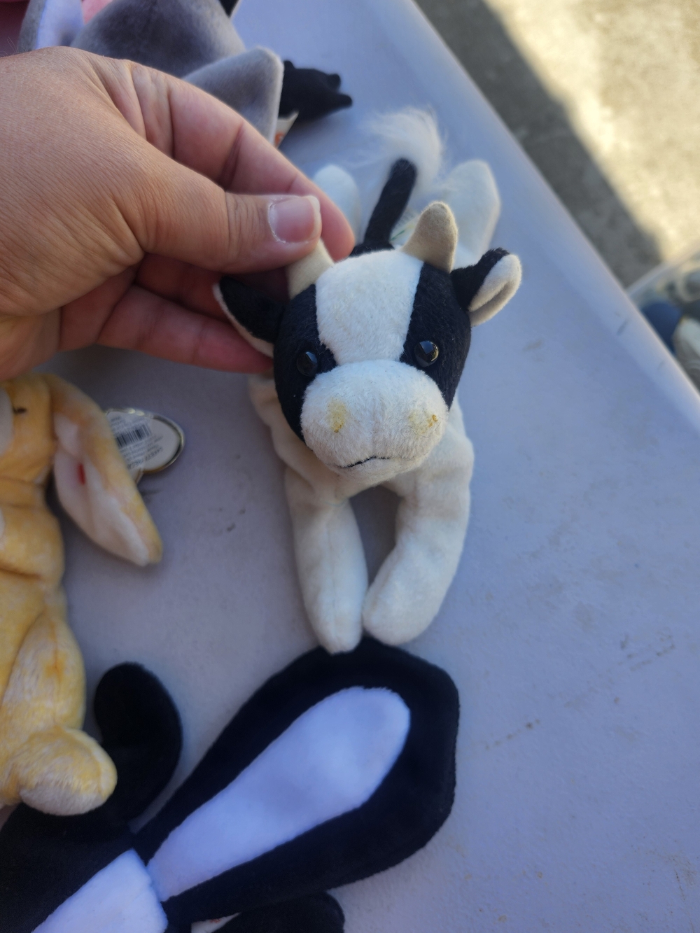 Beanie Babies - Picture 3 of 7